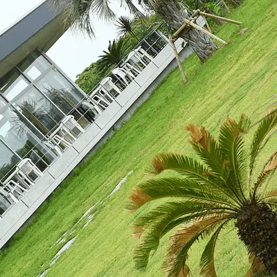 店前には、リゾートのようなヤシの庭が広がっています。